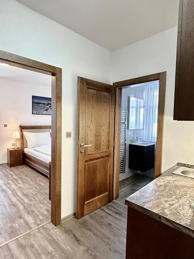 Synek Pension Špindlerŭv Mlýn 4*,