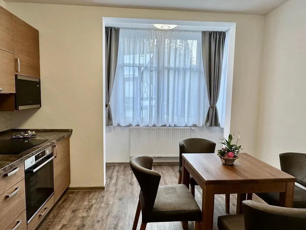 Synek Pension Špindlerŭv Mlýn 4*,